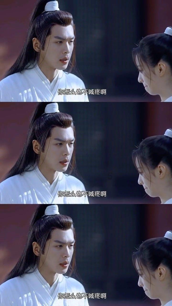可爱小猫向上跳