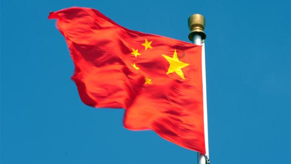 救援可爱的洋葱